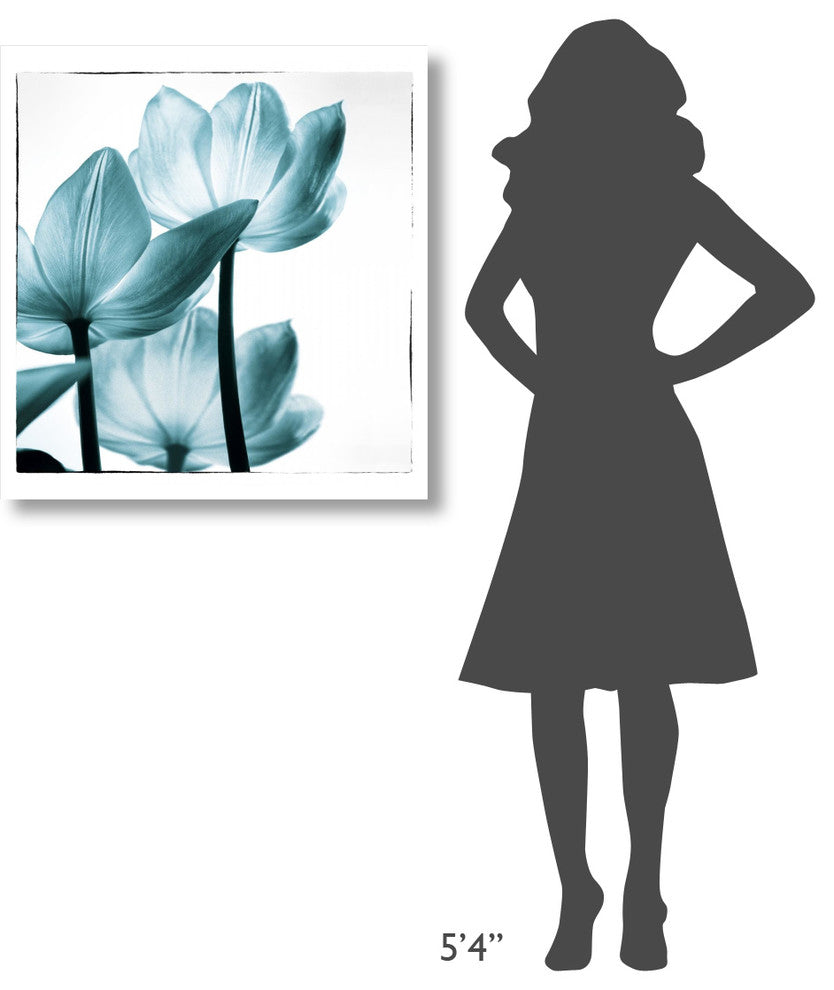 "Translucent Tulips III Sq Teal" Print by Debra Van Swearingen, 30"x32"