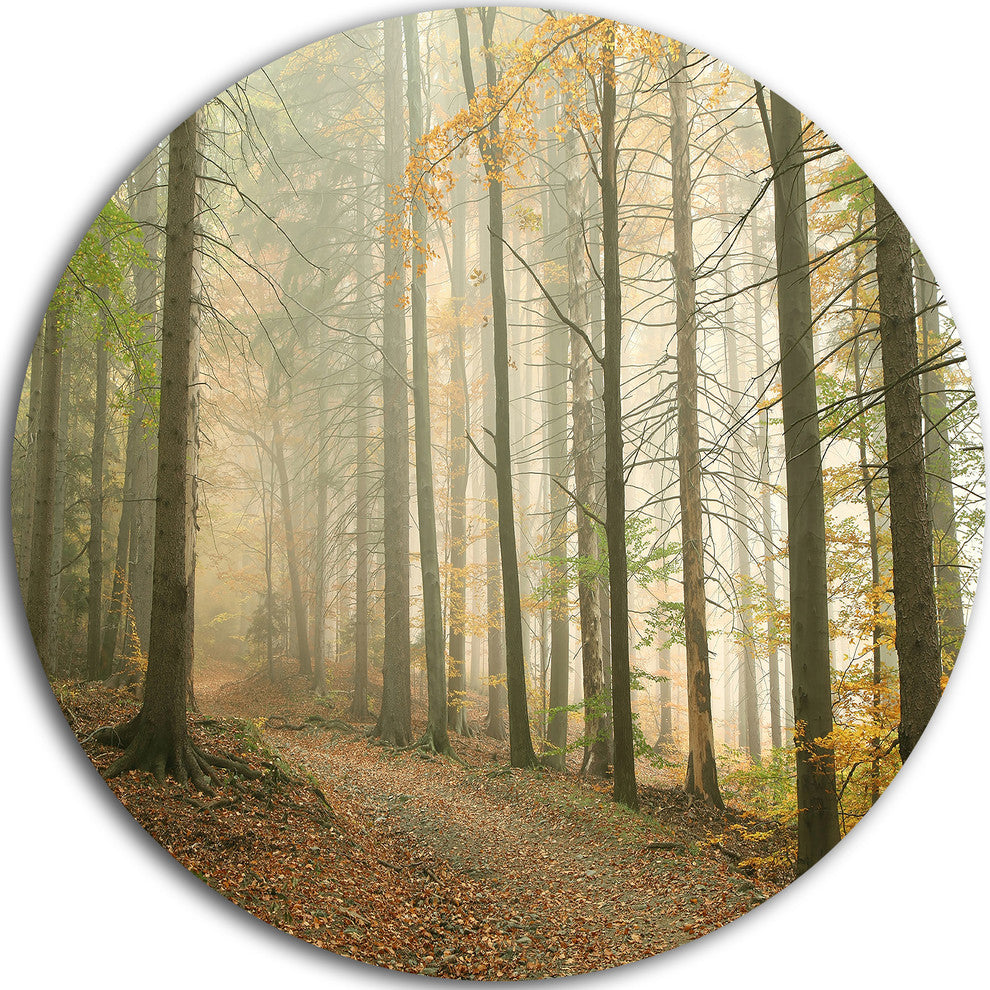 Path In Misty Autumn Forest, Landscape Photo Disc Metal Wall Art, 23"