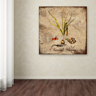 Tina Lavoie 'Natural History' Canvas Art, 18" x 18"