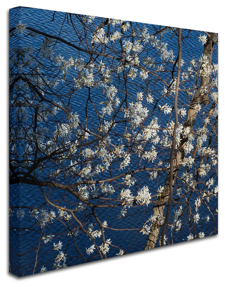 Kurt Shaffer 'Springtime at the Lake' Canvas Art