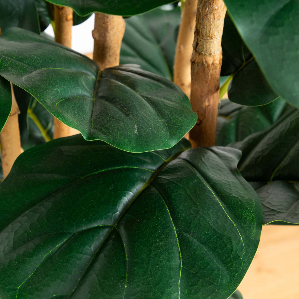 Close-up of leaves and stems on white background.