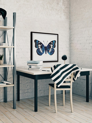 "Dazzling Wings" Framed Painting Print, 12x12