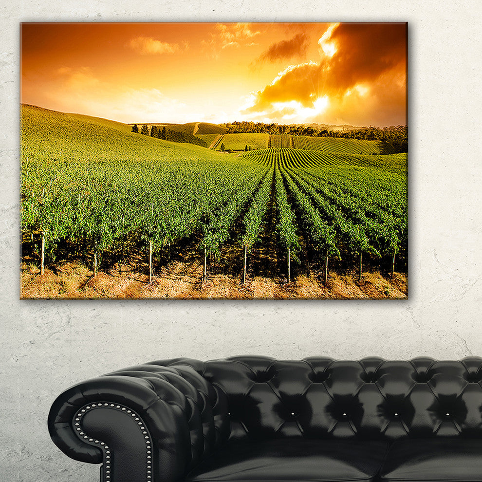 "Sunset Vineyard Panorama" Wall Art Landscape, 32"x16"