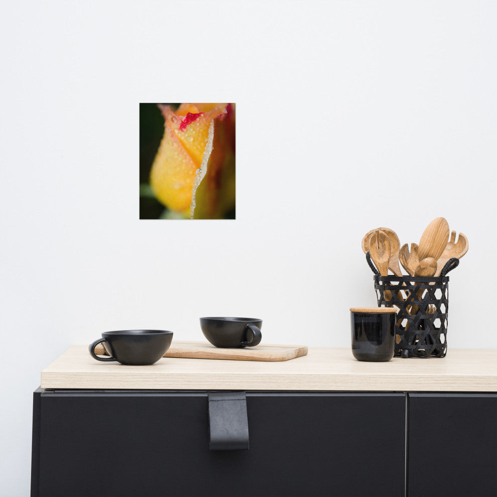 Dew on Yellow Rose Nature Photography, Floral Unframed Wall Art Print, 8" X 10"