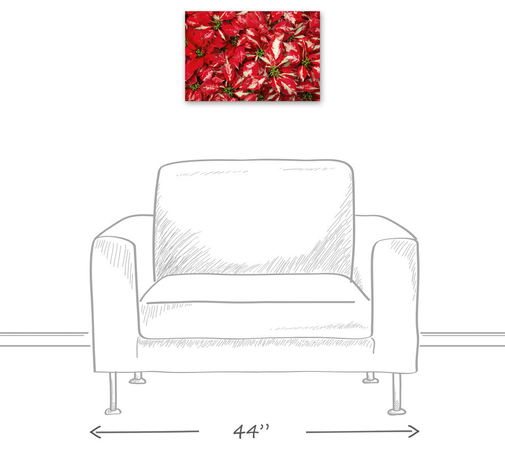Pointsettia Blooms 1 12x18 Canvas Wall Art