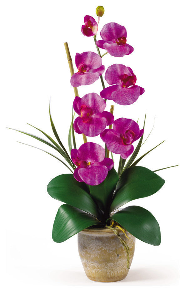 Single Stem Phalaenopsis Silk Orchid Arrangement, Orchid