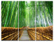 "Path to Bamboo Forest" Photo Metal Wall Art, 3 Panels, 36"x28"