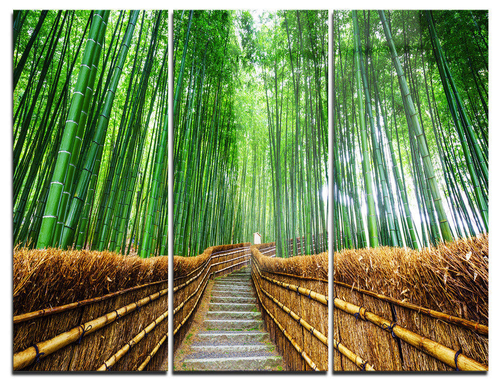"Path to Bamboo Forest" Photo Metal Wall Art, 3 Panels, 36"x28"