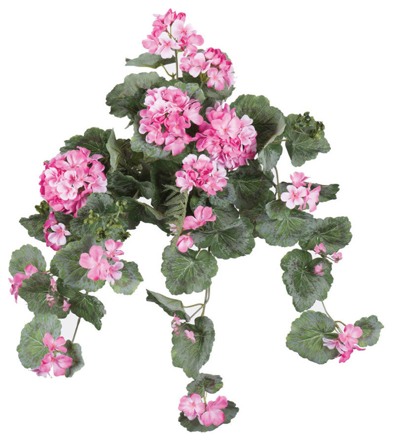 22"  Geranium Hanging Bush-Lt Pink