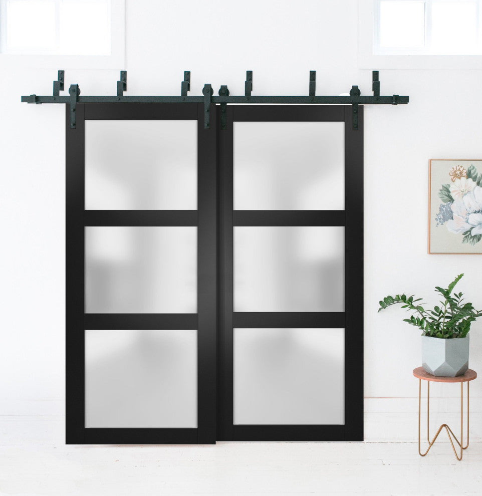 Slab Barn Door Panel Frosted Glass 30 x 80, Lucia 2552 Matte Black