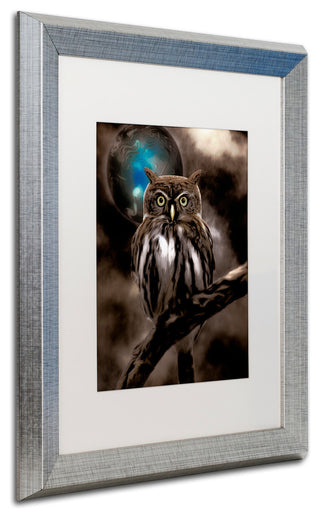 Color Bakery 'Night Owl' Art, Silver Frame, White Matte, 16"x20"