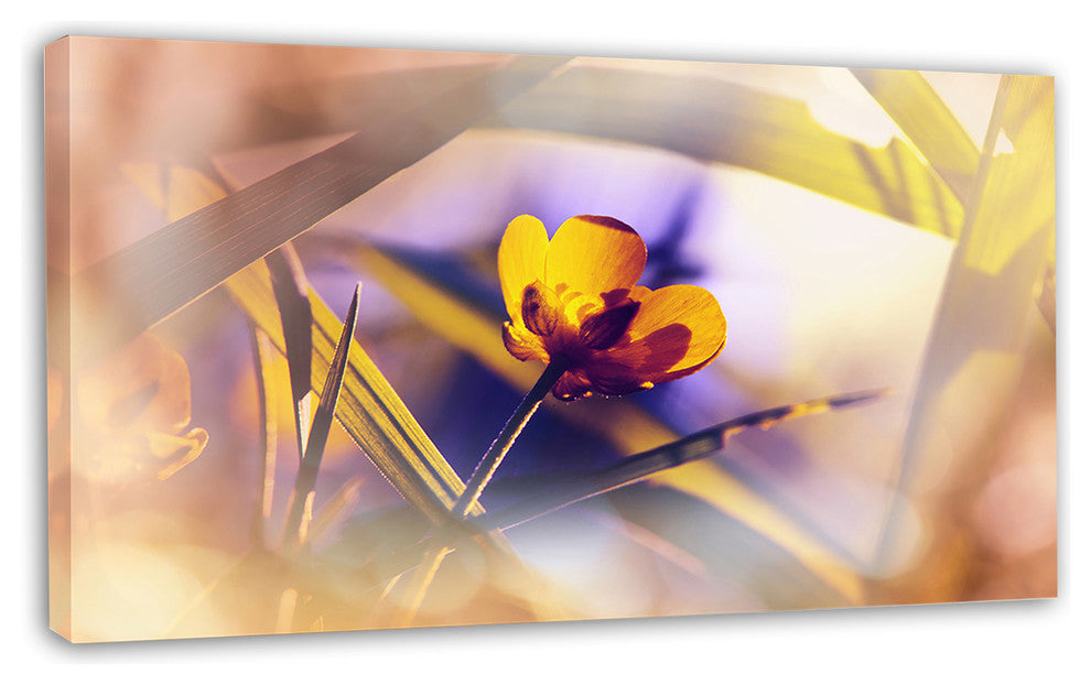 Yellow Flower on Blue Background, Floral Canvas Art Print, 32"x16"