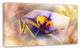 Yellow Flower on Blue Background, Floral Canvas Art Print, 32"x16"