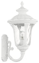 Textured White Traditional, Victorian, Sculptural, Outdoor Wall Lantern