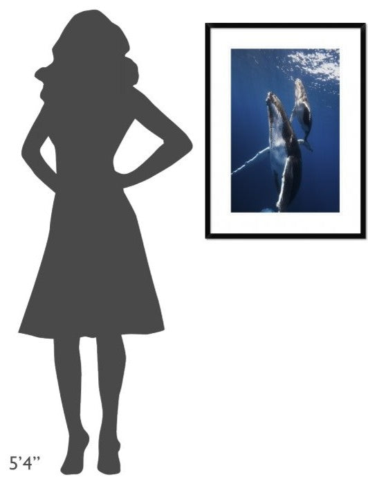 "Back To The Surface" Framed Digital Print by Barathieu Gabriel, 24x32"