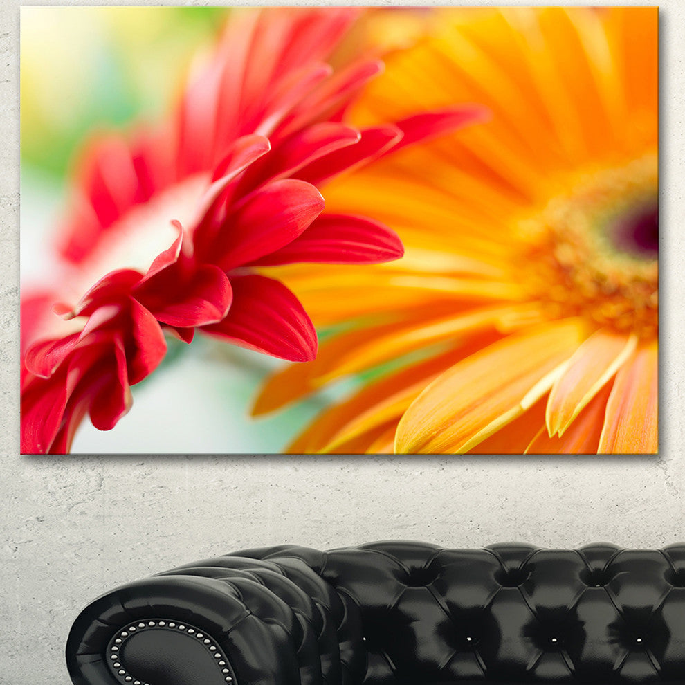 Red and Yellow Daisy Flower, Floral Canvas Art Print, 40"x30"