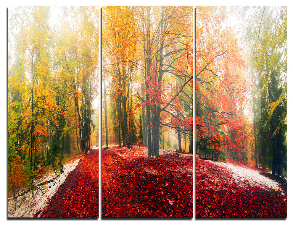 "Alpine Forest After Snowfall" Photo Metal Wall Art, 3 Panels, 36"x28"