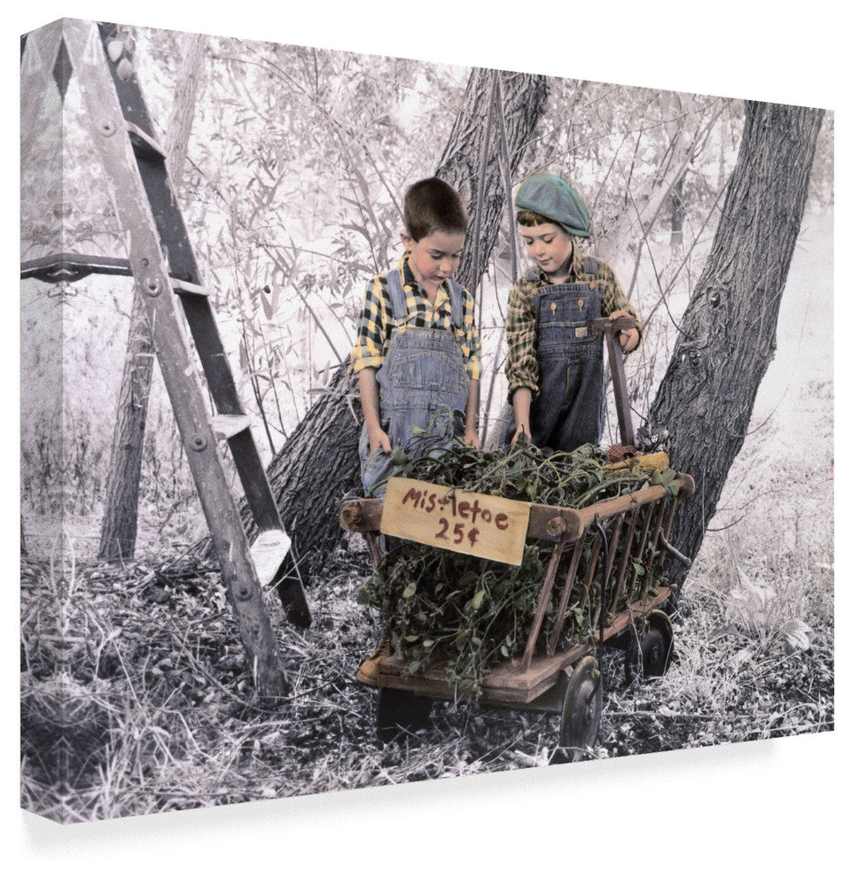 Sharon Forbes 'Mistletoe' Canvas Art, 19"x14"