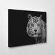Bengal White Tiger' Wrapped Canvas Wall Art by Nauzet Baez