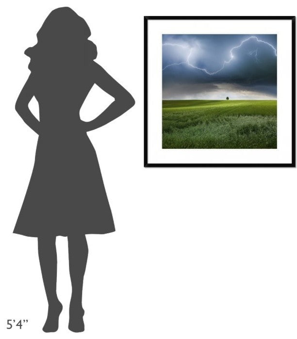 "Someplace In Summer" Framed Digital Print by Franz Schumacher, 32"x32"