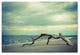 PIPA Fine Art ''The Cove'' Canvas Art, 24x16