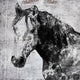 Marmont Hill, "California Horse" by Irena Orlov Painting Wrapped Canvas, 32x32