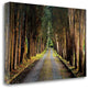 "Tree Tunnel" By Michael Cahill, Giclee Print on Gallery Wrap Canvas