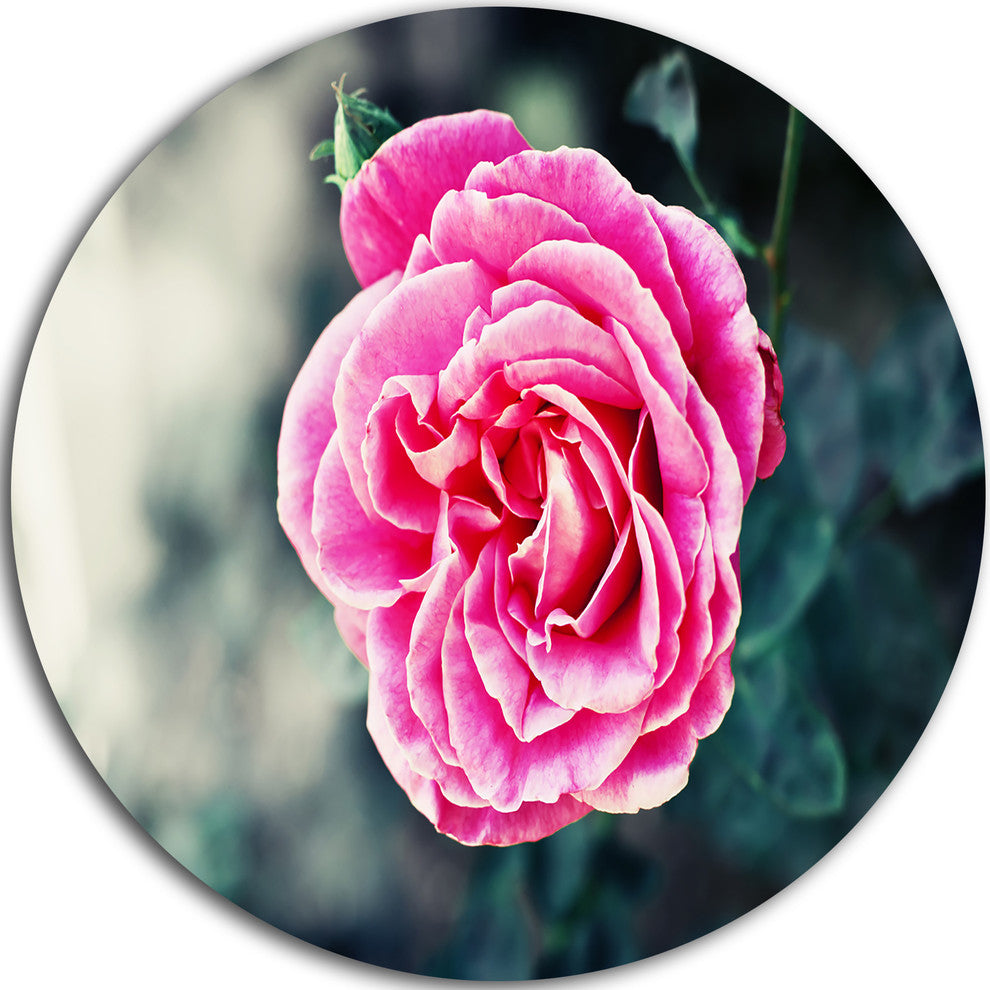 Red Rose In Vintage Style, Floral Digital Art Round Wall Art, 11"
