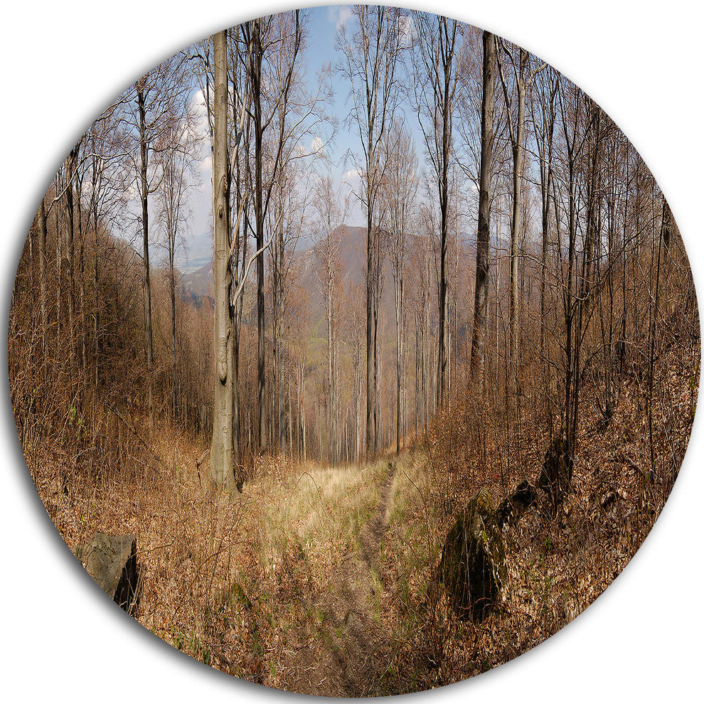 Forest Scenery With Bare Trees, Modern Forest Disc Metal Wall Art, 23"