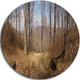 Forest Scenery With Bare Trees, Modern Forest Disc Metal Wall Art, 23"