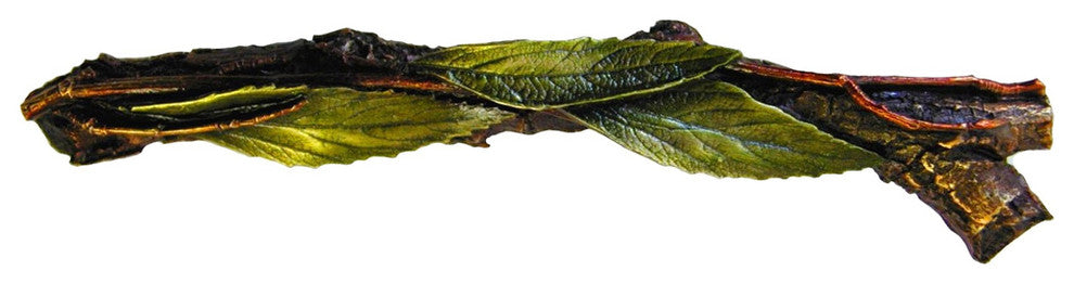 Leafy Branch Pull Antique Brass Left Side, Brass Hand Tinted, Right