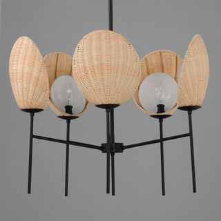 Maxim 12605 Maldives 5 Light 26"W Chandelier - Black