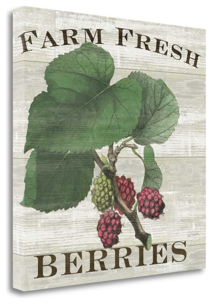 "Farm Fresh Raspberries" By Sue Schlabach, Giclee Print on Gallery Wrap Canvas
