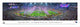 2015 Patriots Super Bowl XLIX Panoramic Poster Print