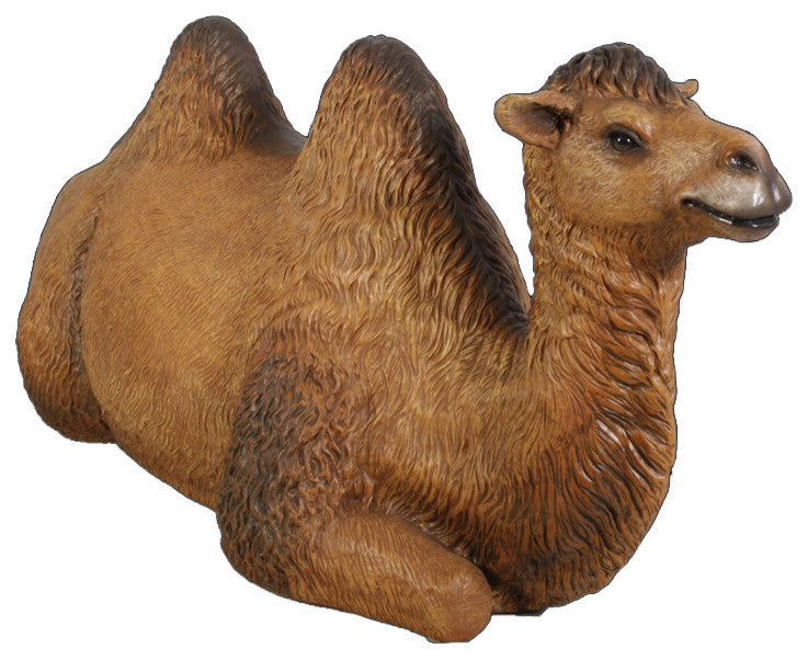 Life Size Camel Lying Down