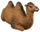 Life Size Camel Lying Down