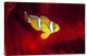 "Clownfish" Stretched Canvas Giclee by Barathieu Gabriel, 24"x16"