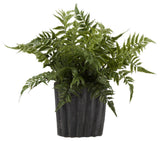 Leather Leaf Fern in Oval Ceramic, Small