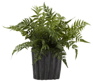 Leather Leaf Fern in Oval Ceramic, Small