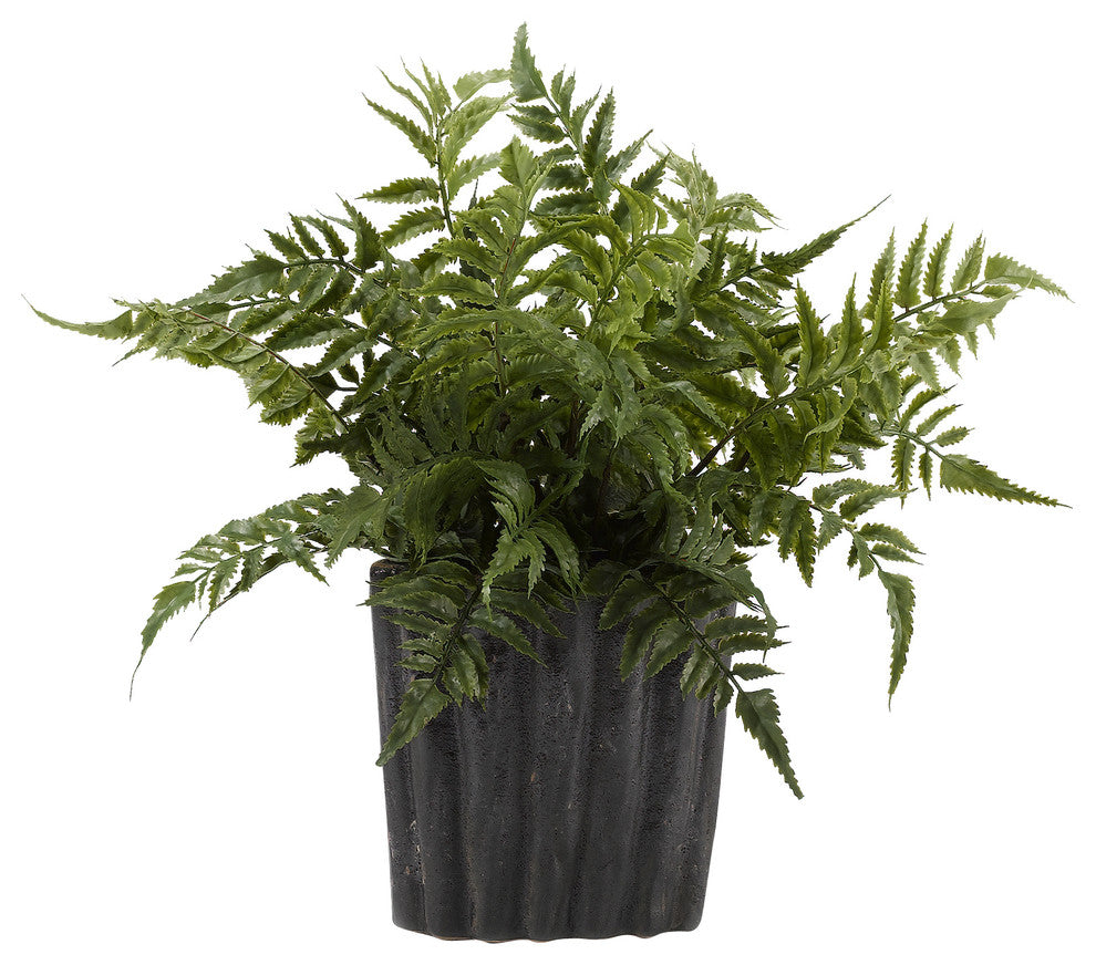 Leather Leaf Fern in Oval Ceramic, Small