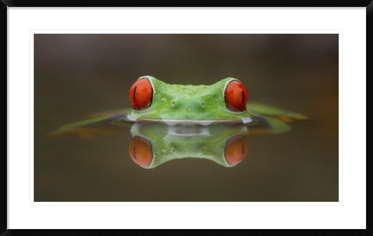 "Burning Eyes" Framed Digital Print by Kutub Uddin, 44x28"