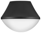 Lark Haddie 11" Flush Mount Ceiling Light, Black