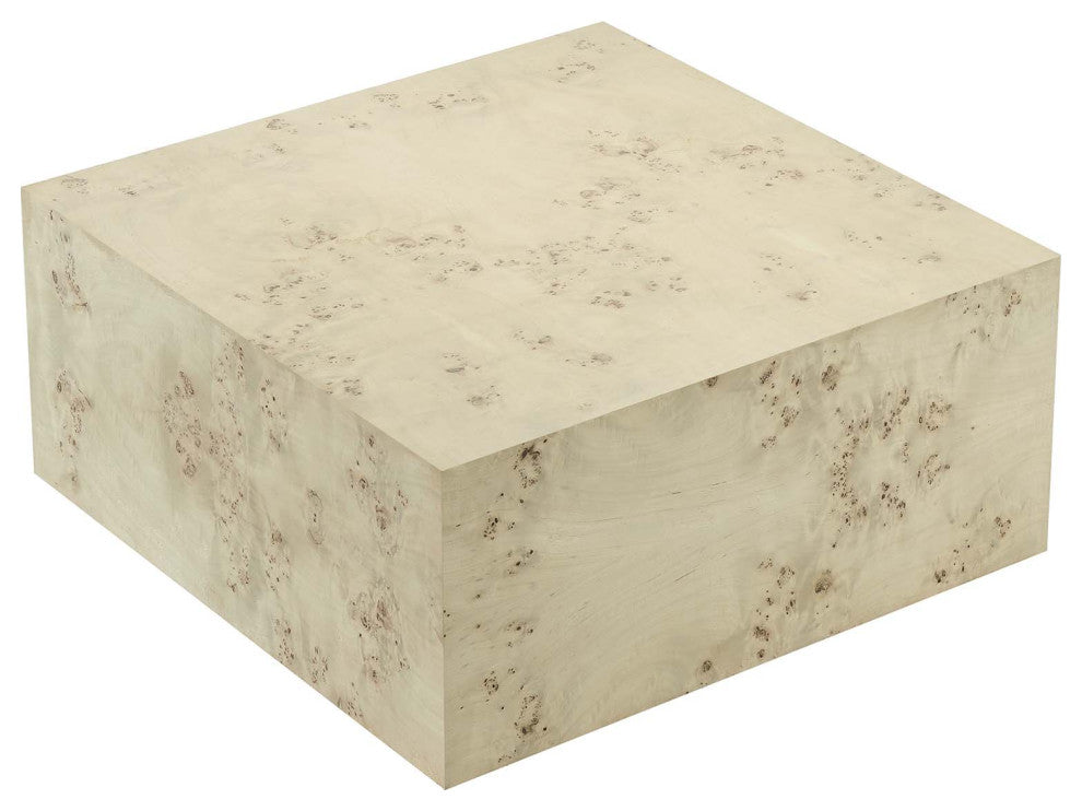 MODWAY Cosmos 36" Square Burl Wood Coffee Table