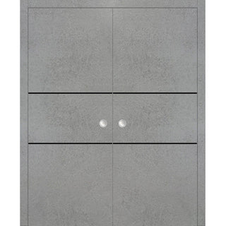 French Double Pocket Doors 48x96 | Planum 0014 Concrete with  | Kit Trims Rail