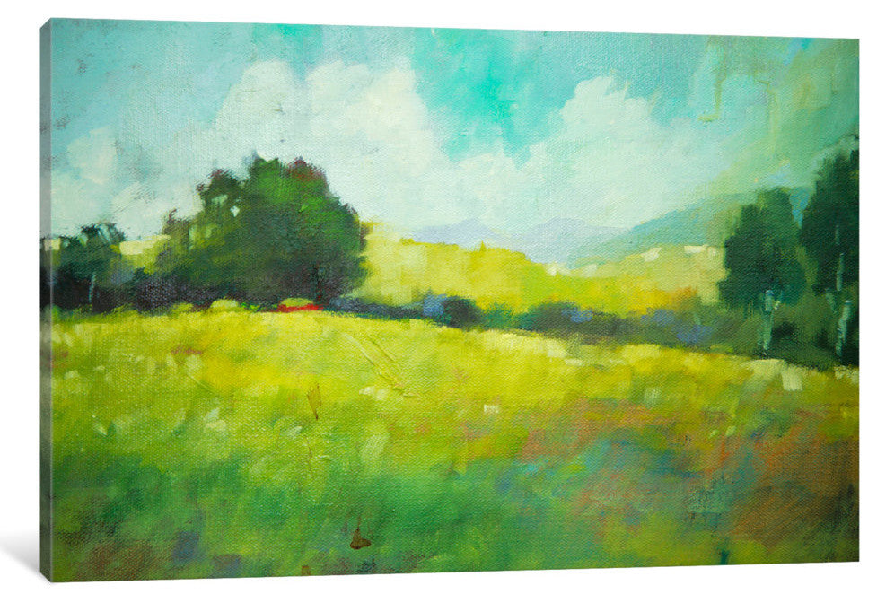 "Hillside" by Eddie Barbini, Canvas Print, 40"x26"
