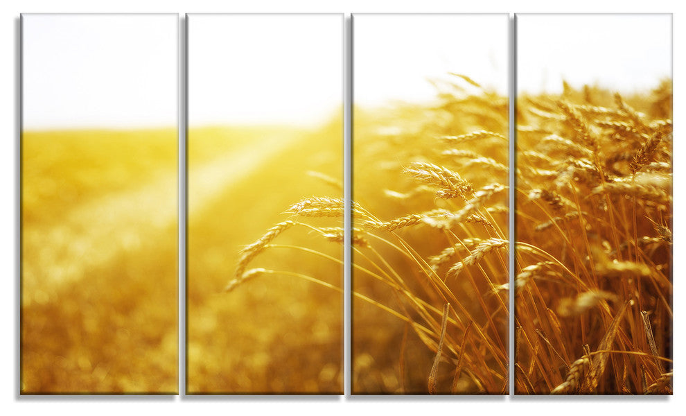 Bright Sunset over Wheat Field, Landscape Canvas Art Print, 48"x28", 4 Panels