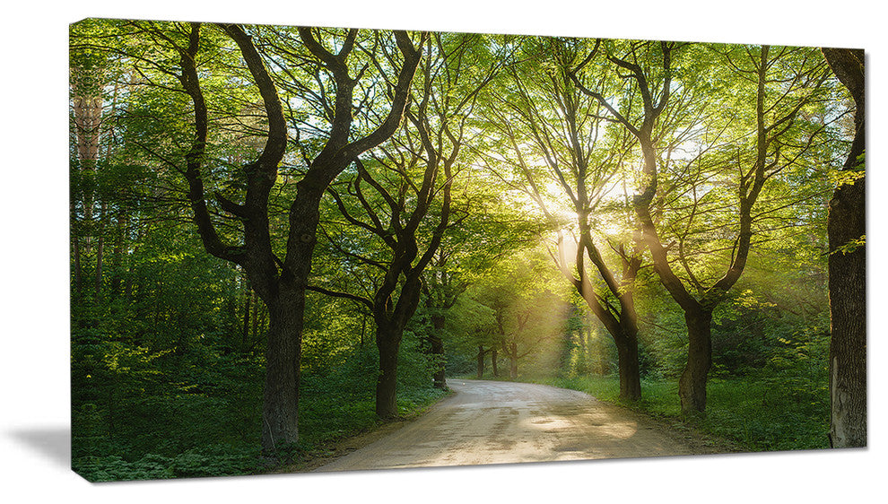 Evening in Green Forest, Landscape Canvas Art Print, 32"x16"