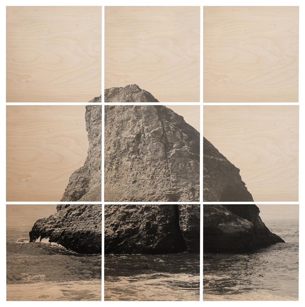 Deny Designs Catherine Mcdonald Roadtrip Pacific Coast Highway Wood Wall Mural