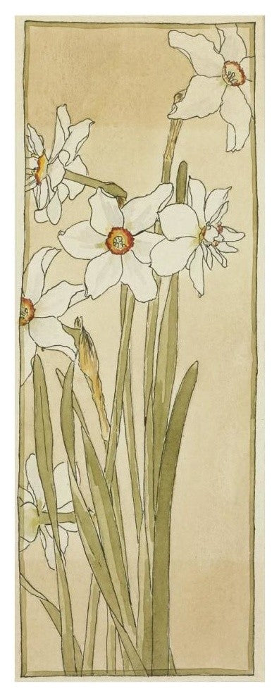 "Poet's Narcissus" Digital Paper Print by Hannah Borger Overbeck, 16"x38"