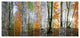 Wood Panorama Changing Seasons, Large landscape Canvas Art Print, 60"x28"